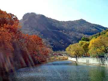 新澳天天开奖资料大全旅游团，宝格丽手表维修